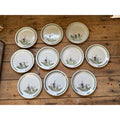 Buchan Thistle Serving Scotland Stoneware Pottery (10) 6-1/2" Dessert Plates Salad