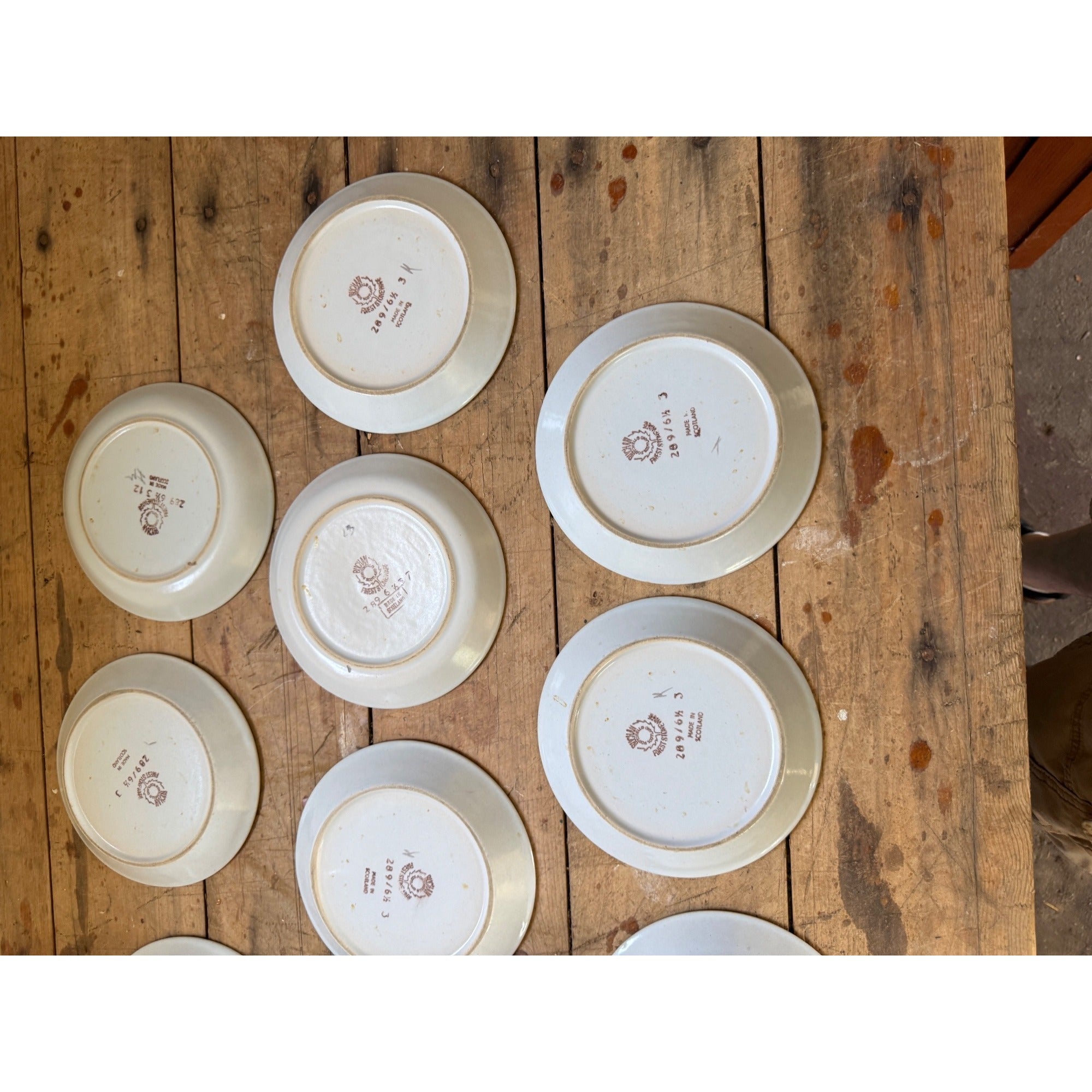 Buchan Thistle Serving Scotland Stoneware Pottery (10) 6-1/2" Dessert Plates Salad