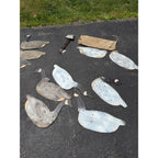 12 Vintage Johnson’s Folding Goose Decoys W/Metal Stakes Original Bag As-Is