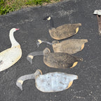 12 Vintage Johnson’s Folding Goose Decoys W/Metal Stakes Original Bag As-Is