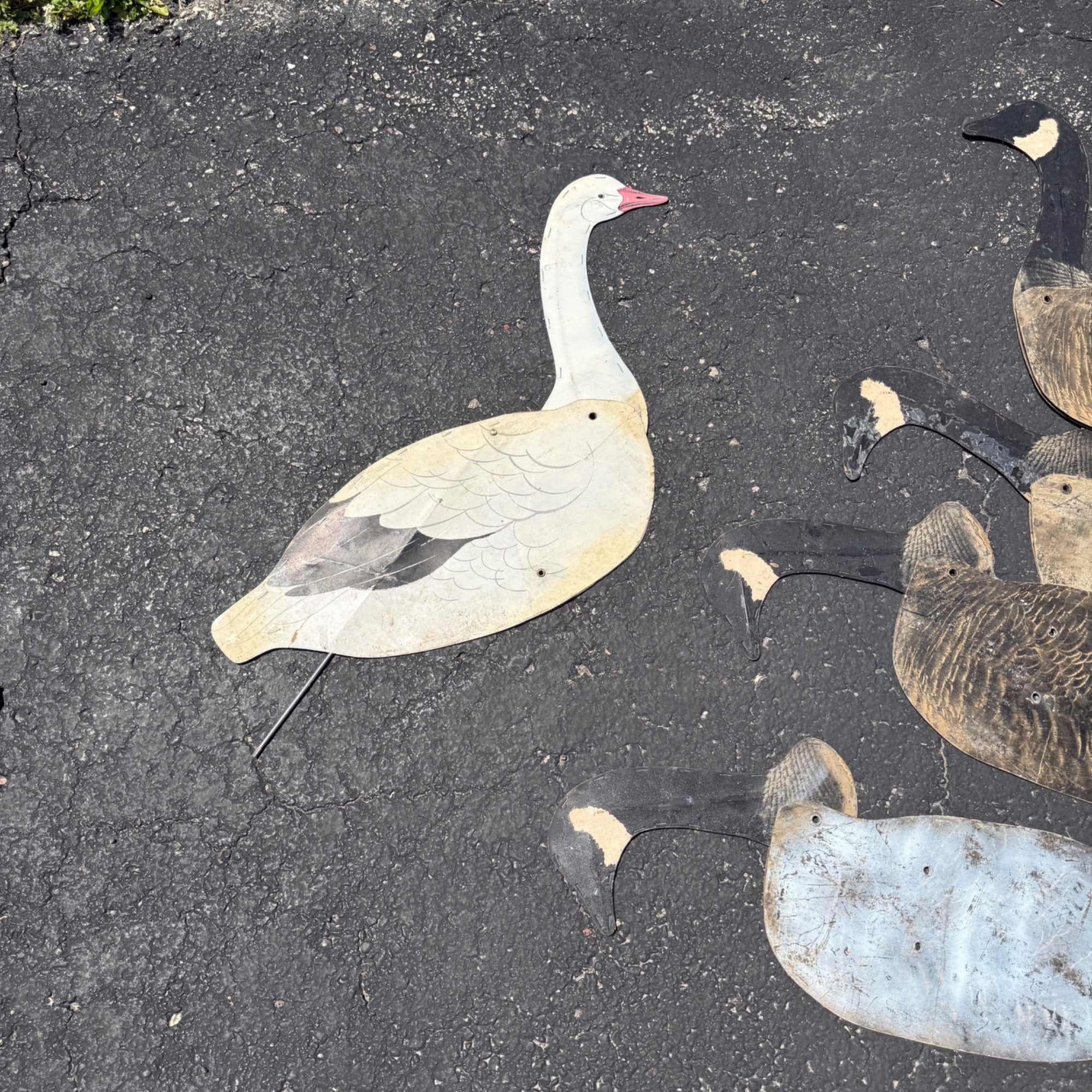 12 Vintage Johnson’s Folding Goose Decoys W/Metal Stakes Original Bag As-Is