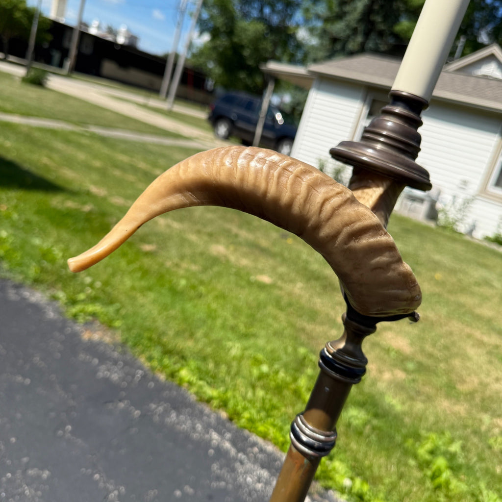 Vintage Ram's Horn Brass Bridge Floor Lamp Library Reading  Light Fixture 1970s