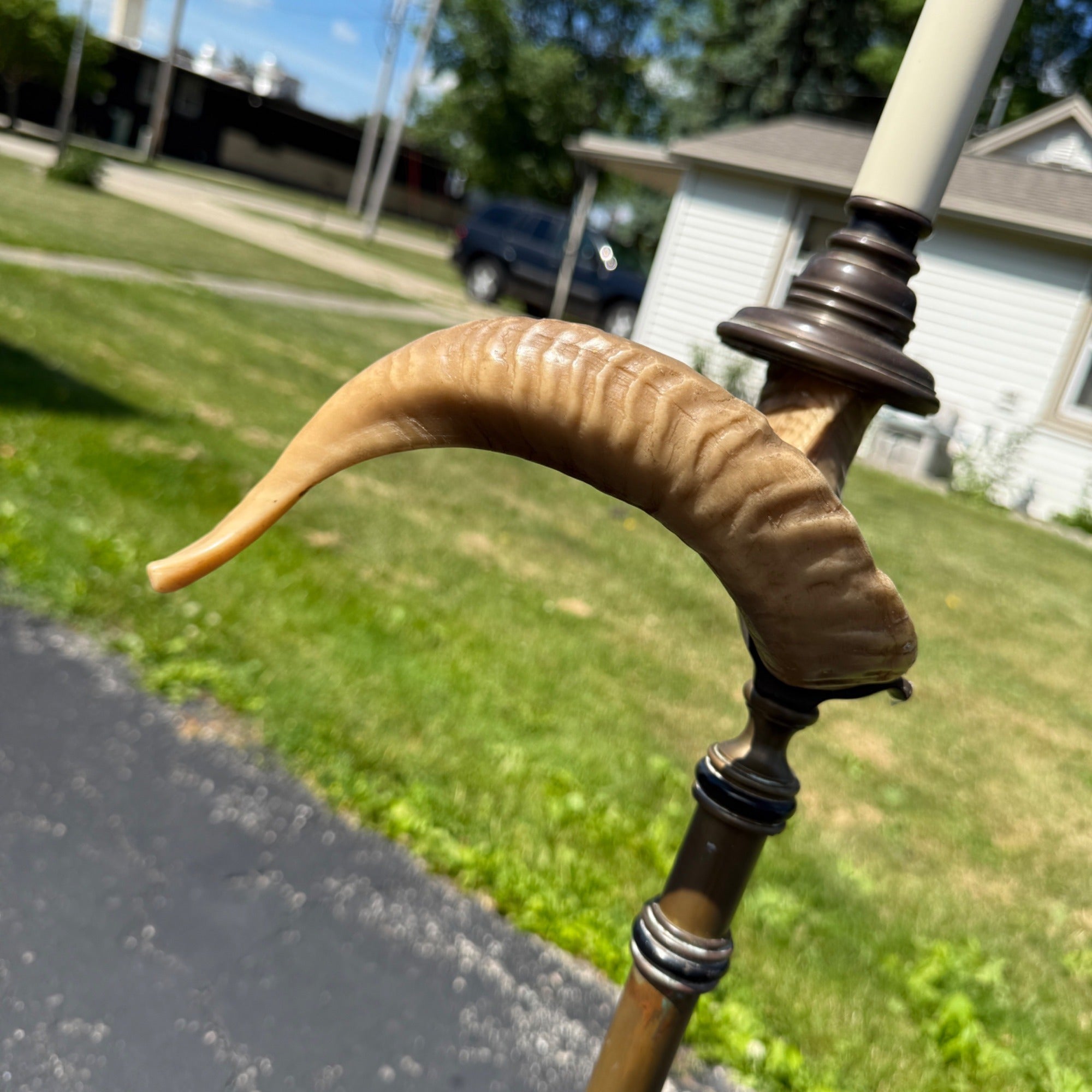 Vintage Ram's Horn Brass Bridge Floor Lamp Library Reading  Light Fixture 1970s