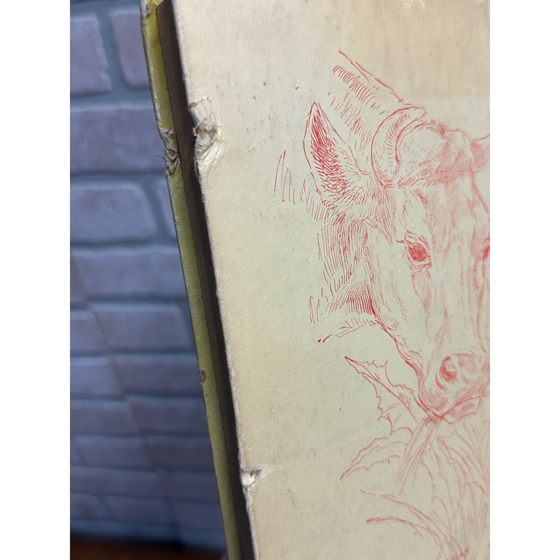 Antique 1880s Aesops Fables Children's Book Illustrated M.A. Donohue Hardcover