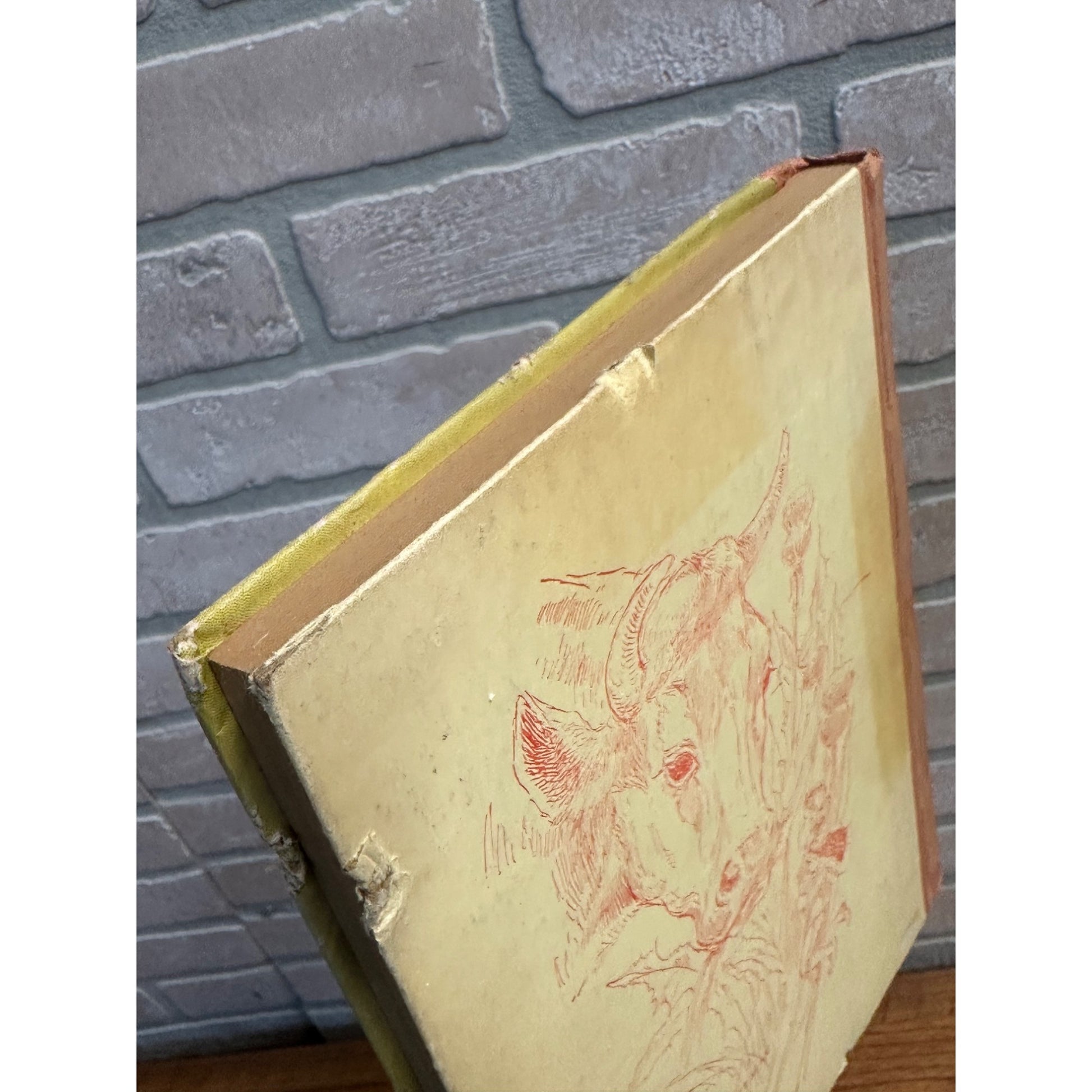 Antique 1880s Aesops Fables Children's Book Illustrated M.A. Donohue Hardcover