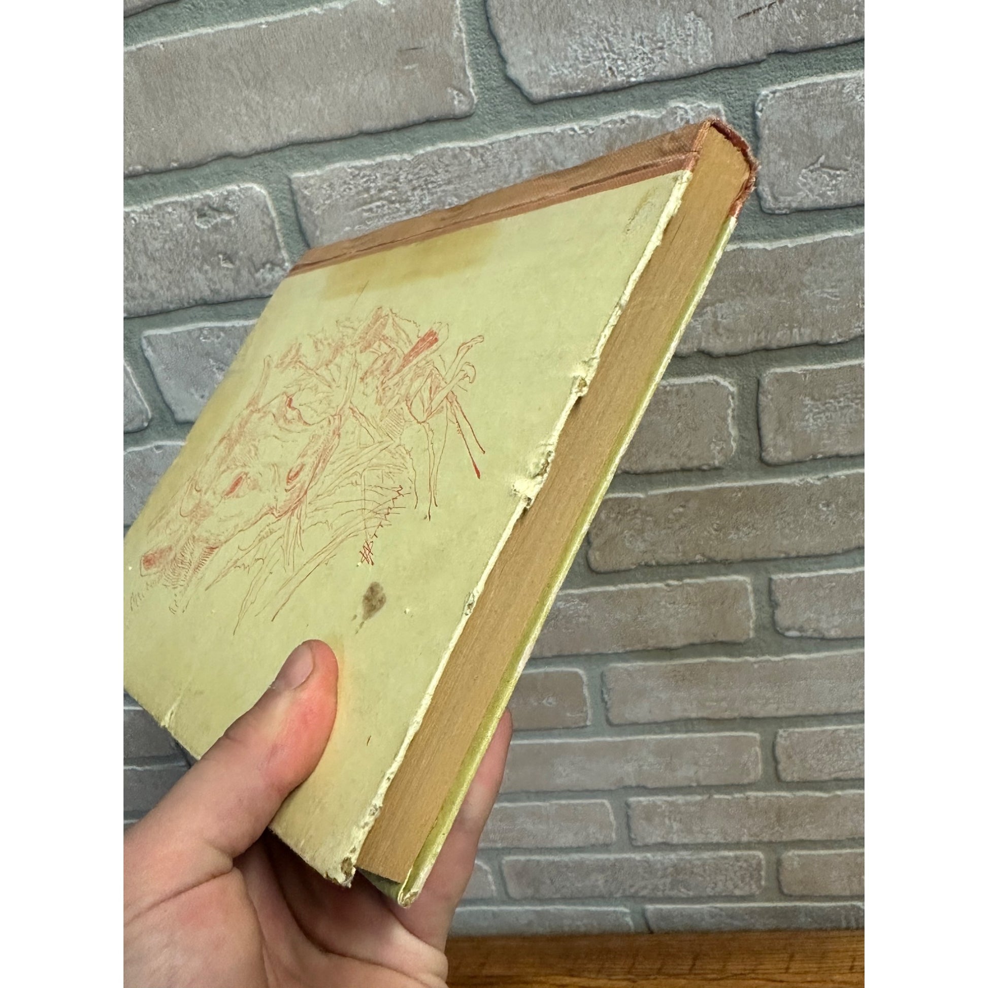 Antique 1880s Aesops Fables Children's Book Illustrated M.A. Donohue Hardcover