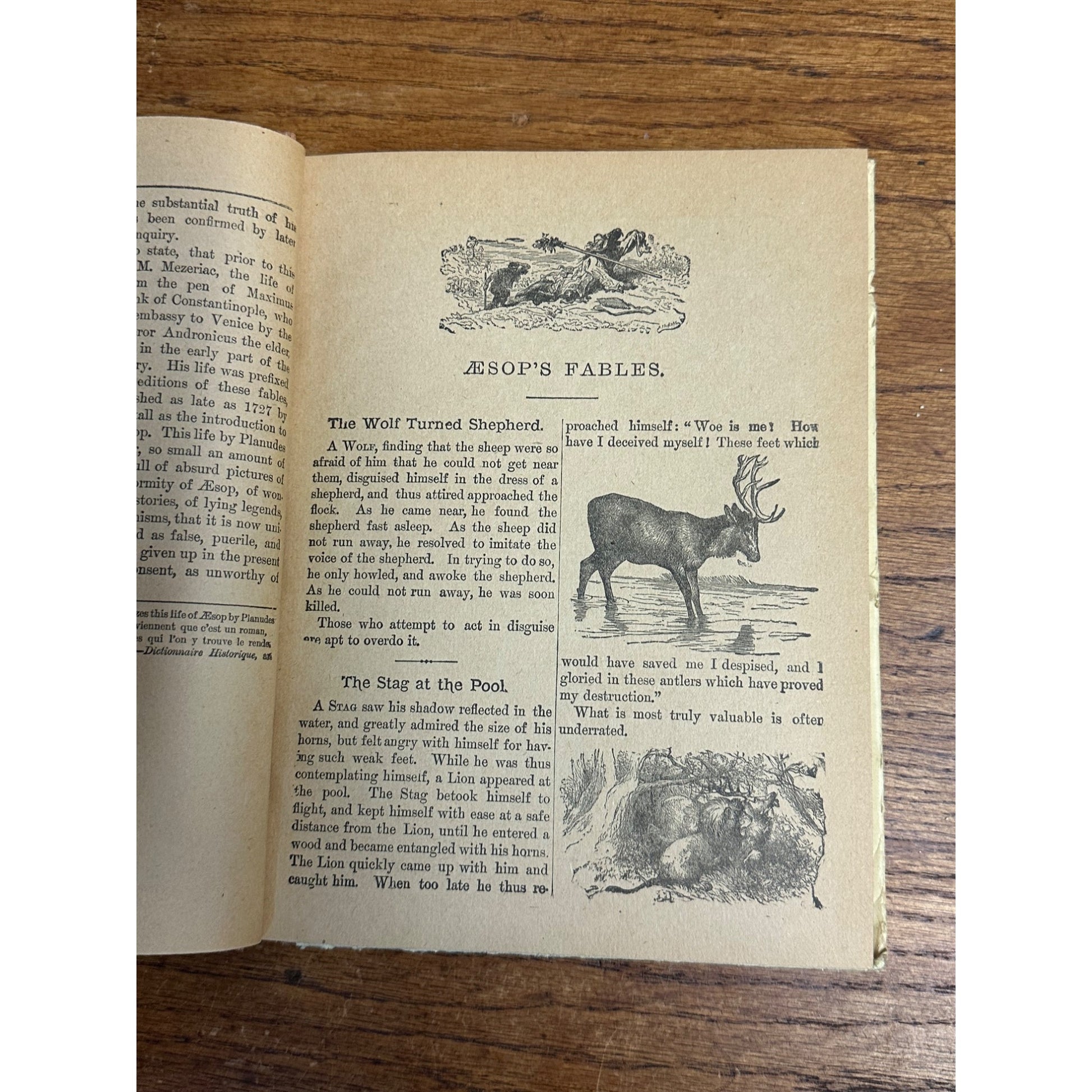 Antique 1880s Aesops Fables Children's Book Illustrated M.A. Donohue Hardcover