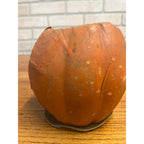 Antique Original German Halloween 4.5" Jack O' Lantern JOL Vintage Pressed Cardboard