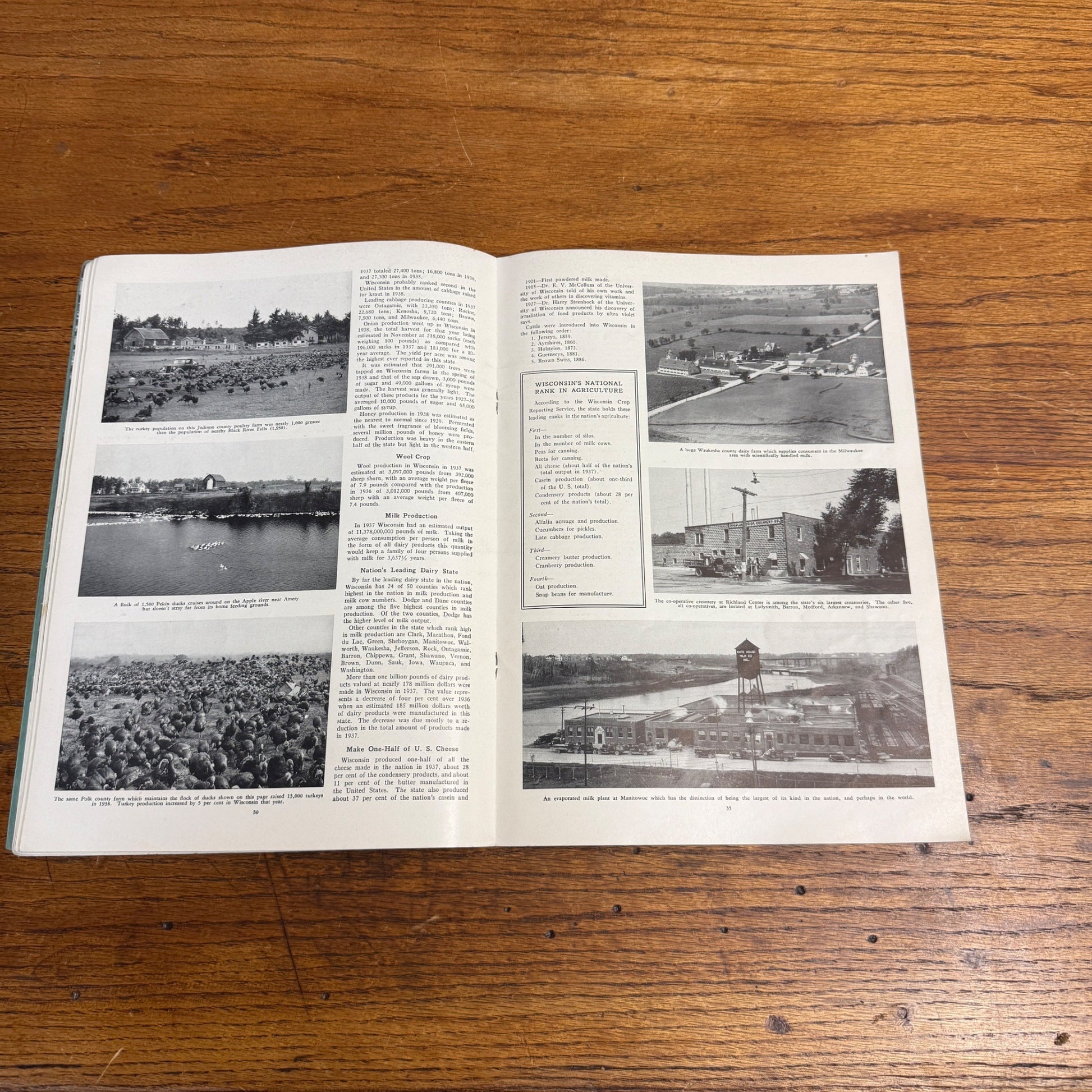 1939  Wisconsin Dept. of Agriculture & Markets Bulletin No. 201 Great Photos