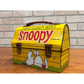Vintage 1968 Snoopy School Dome Metal Lunchbox - No Thermos