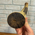 Antique 1800s Black Powder Carved Horn Civil War Era