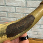 Antique 1800s Black Powder Carved Horn Civil War Era