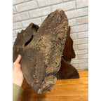 Antique Primitive 1900s Carved Horse Heads Architectural Salvage Folk Art AAFA