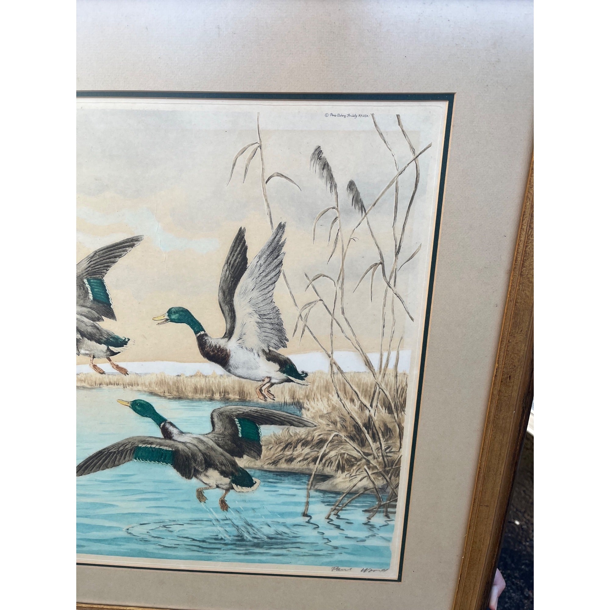 Vintage 1960s Paul Wood "The Departure" Ducks Mallards Framed Art Print Signed Cabin Decor Hunting Paris Etching Society