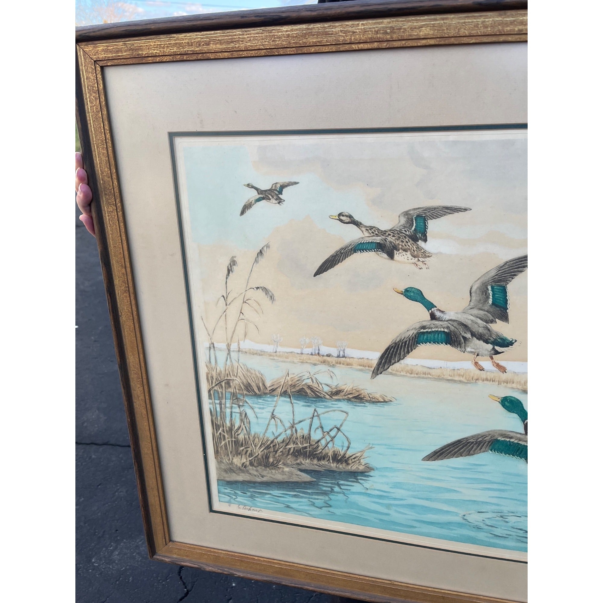 Vintage 1960s Paul Wood "The Departure" Ducks Mallards Framed Art Print Signed Cabin Decor Hunting Paris Etching Society
