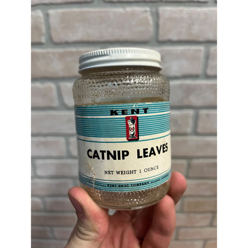 Vintage Kent Drug Co. Catnip Leaves Empty Glass Jar Apothecary