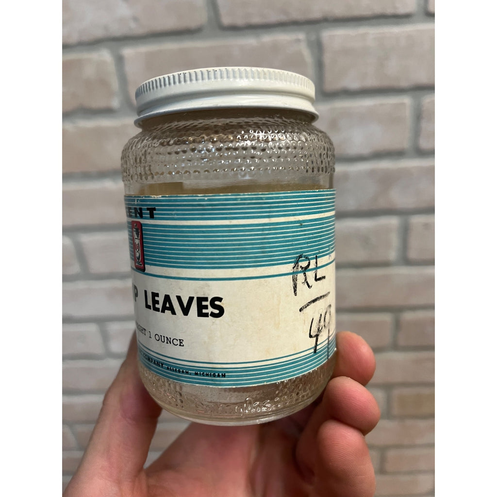 Vintage Kent Drug Co. Catnip Leaves Empty Glass Jar Apothecary