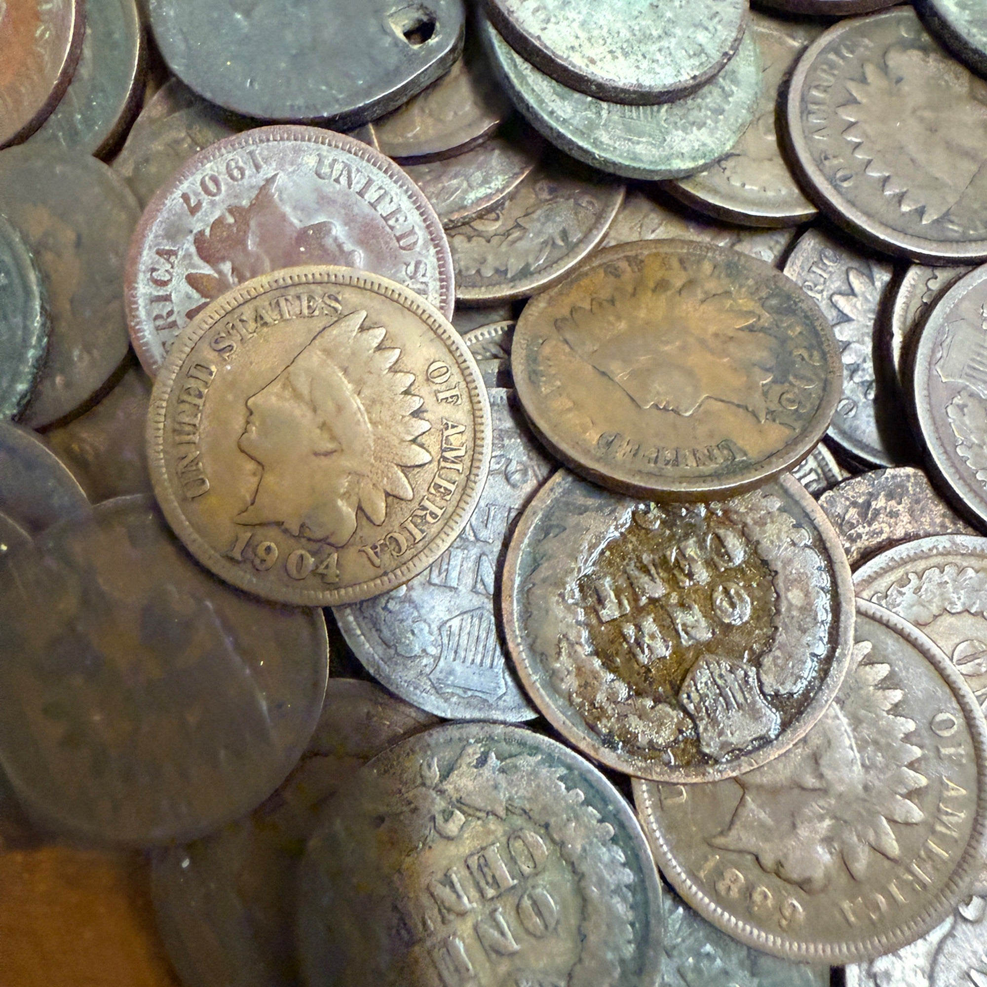 Indian Head Wheat Penny Pennies Coins  Circulated 1880s-1900s Coin