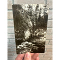 Dells of the Wolf River Wisconsin RPPC Real Photo Vintage Postcard Wis WI