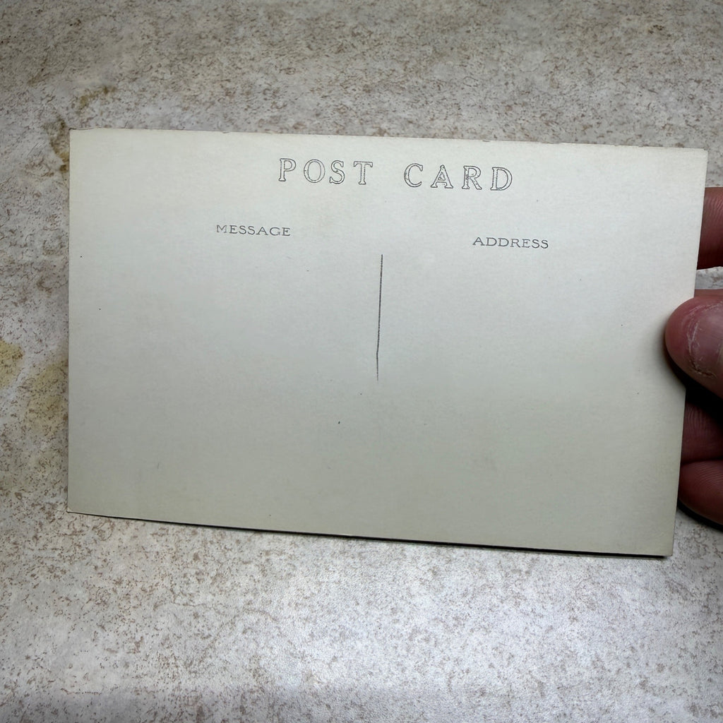 Postcard Humerous Donkey Kick My *SS Ship Me Home  Unused
