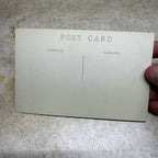 Postcard Humerous Donkey Kick My *SS Ship Me Home  Unused