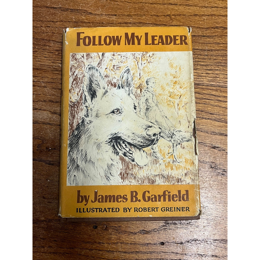 1958 FOLLOW MY LEADER by James B Garfield Weekly Reader Viking HB