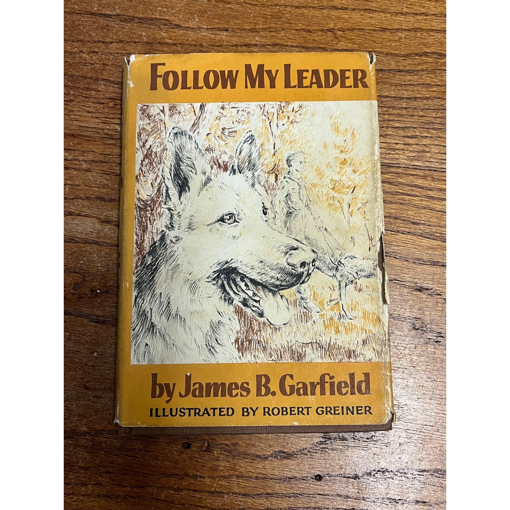 1958 FOLLOW MY LEADER by James B Garfield Weekly Reader Viking HB