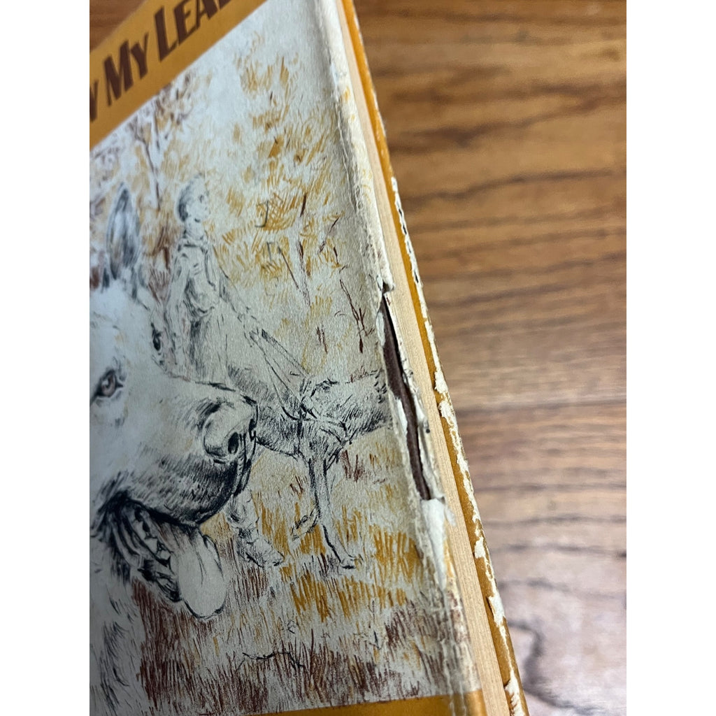 1958 FOLLOW MY LEADER by James B Garfield Weekly Reader Viking HB