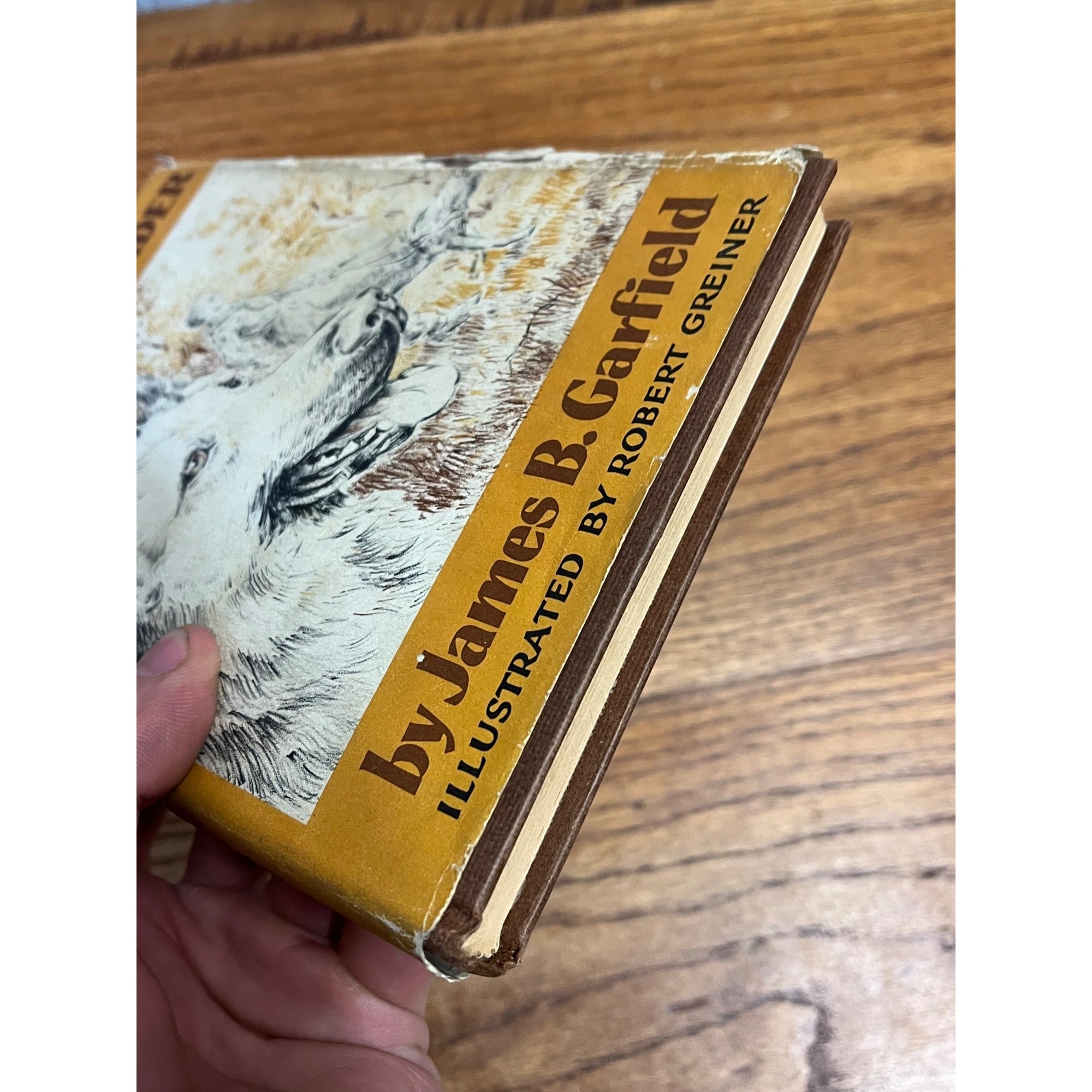 1958 FOLLOW MY LEADER by James B Garfield Weekly Reader Viking HB