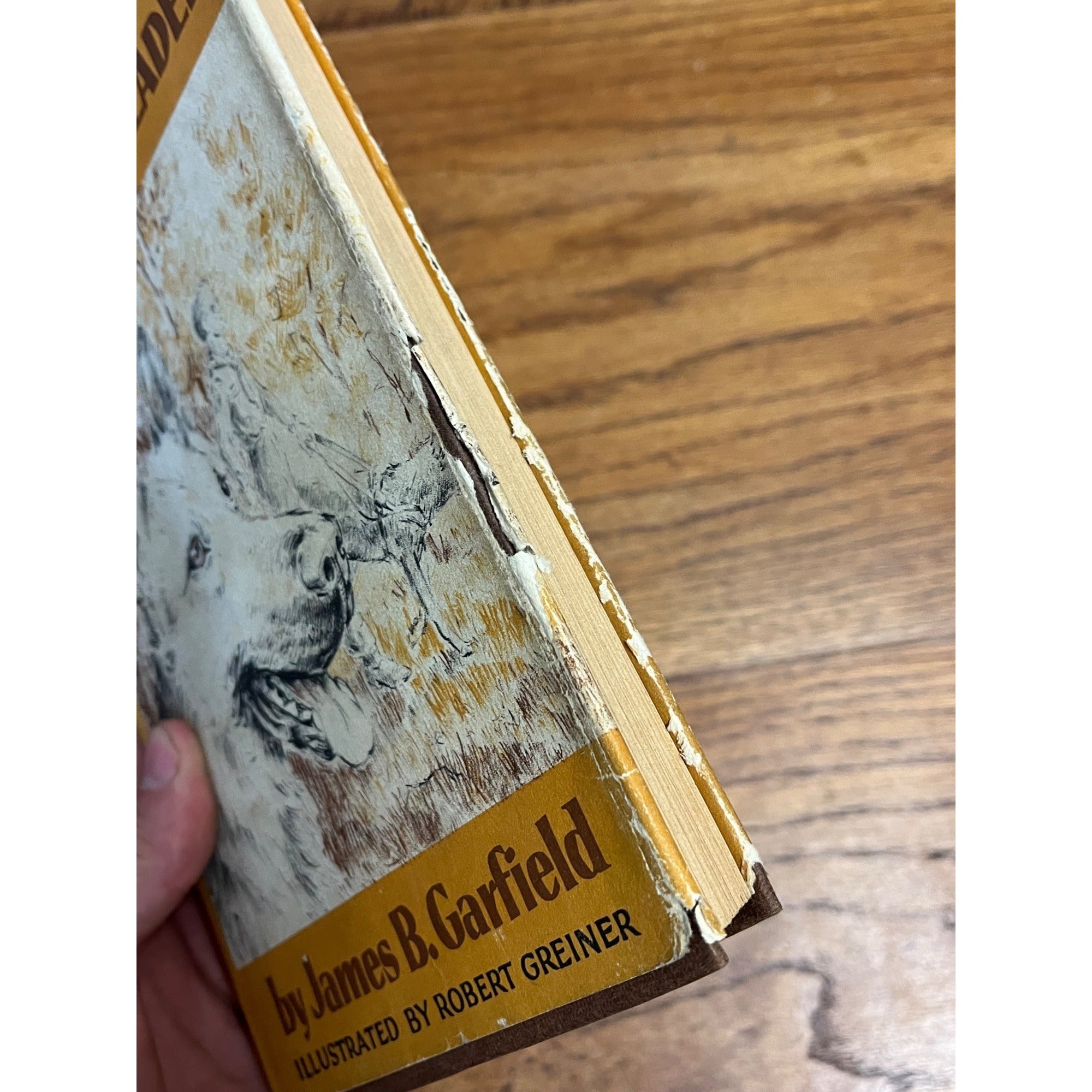 1958 FOLLOW MY LEADER by James B Garfield Weekly Reader Viking HB