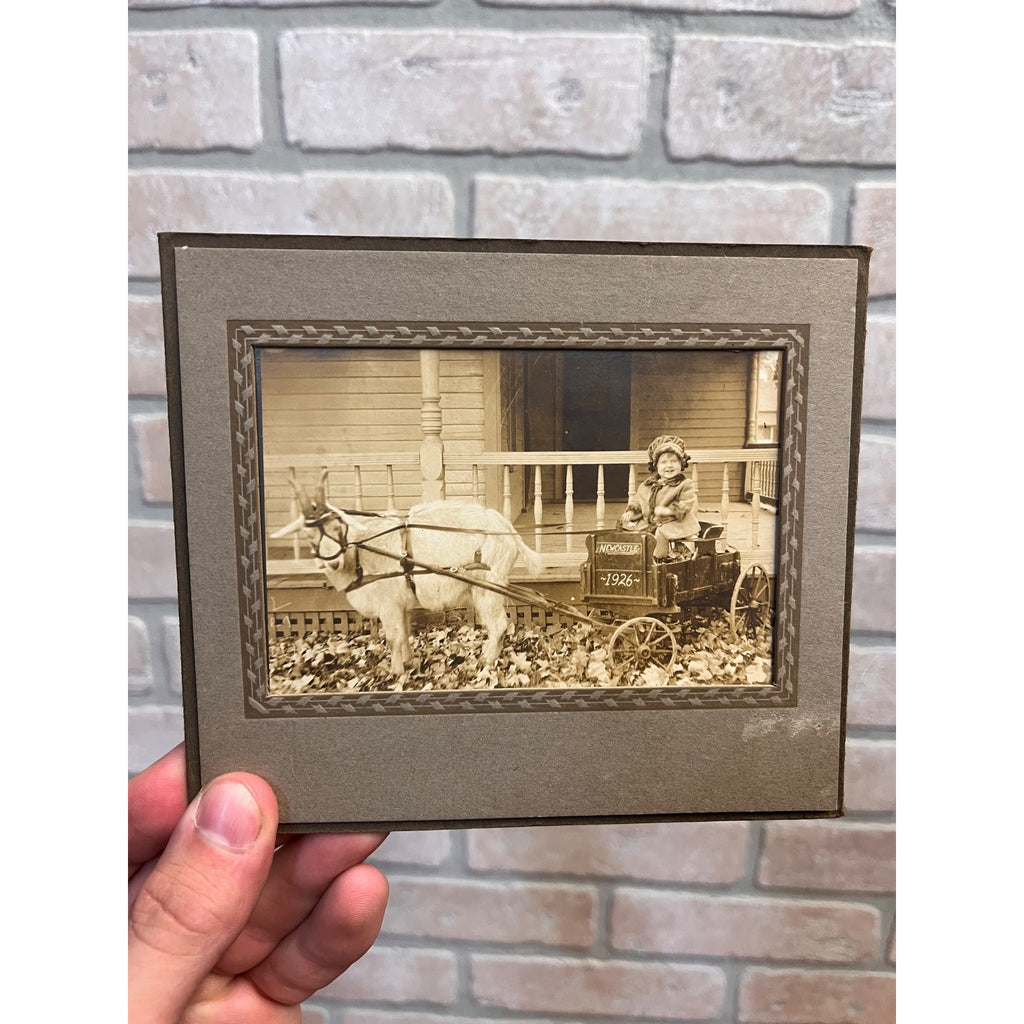 Antique Newcastle Ohio Cute Boy Riding Goat Cart Wagon Real Photo Photograph