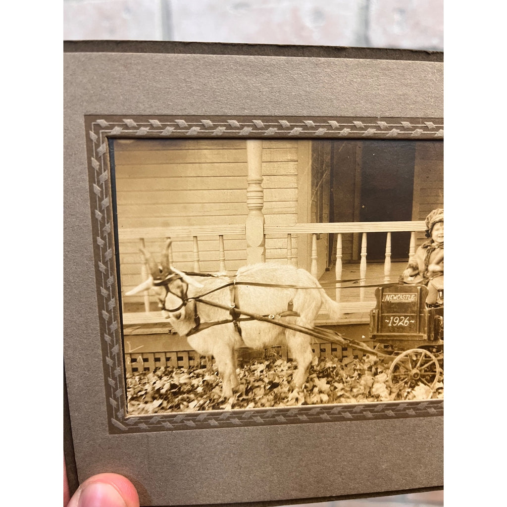 Antique Newcastle Ohio Cute Boy Riding Goat Cart Wagon Real Photo Photograph
