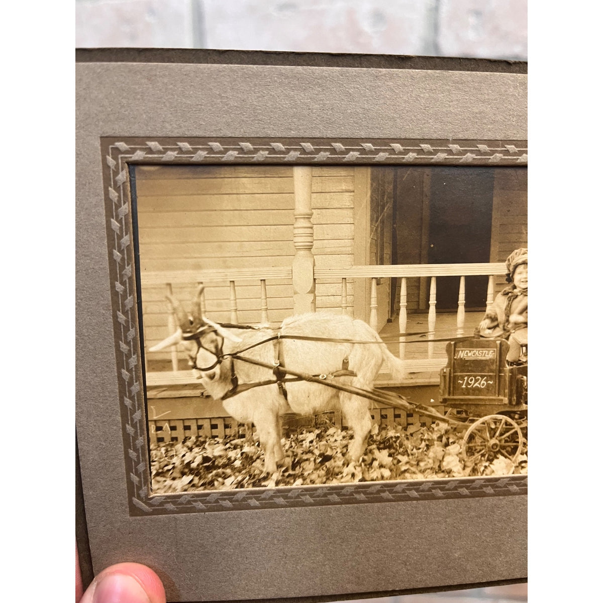 Antique Newcastle Ohio Cute Boy Riding Goat Cart Wagon Real Photo Photograph