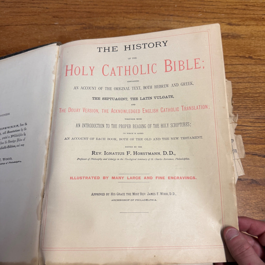 Antique 1870s Large Ornate Catholic Bible Old New Testament w/Ancestral Records