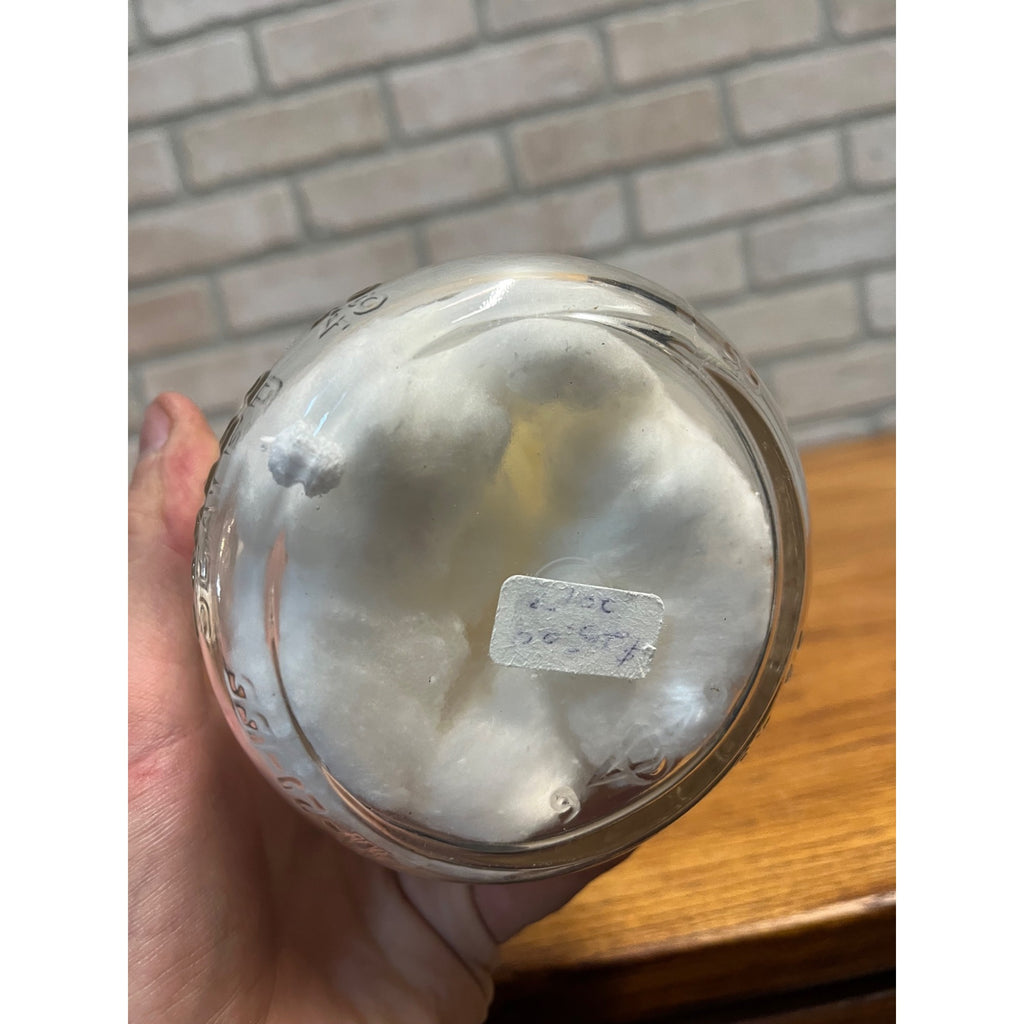 Vintage Hamlyn Dairy West Bend Wisconsin Milk Bottle Quart WI Wis