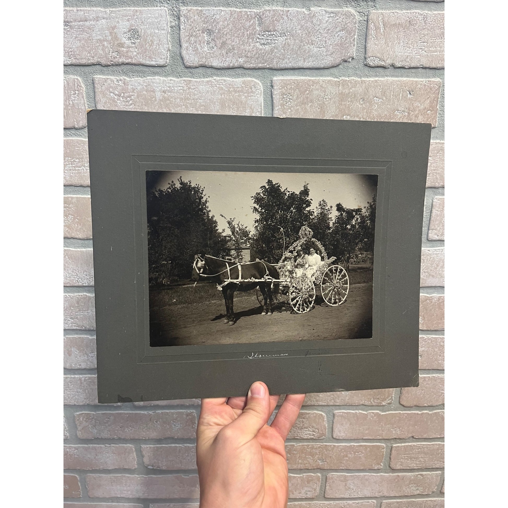Antique Cabinet Real Photo Fower Dressed Horse Drawn Carriage Wedding Bride