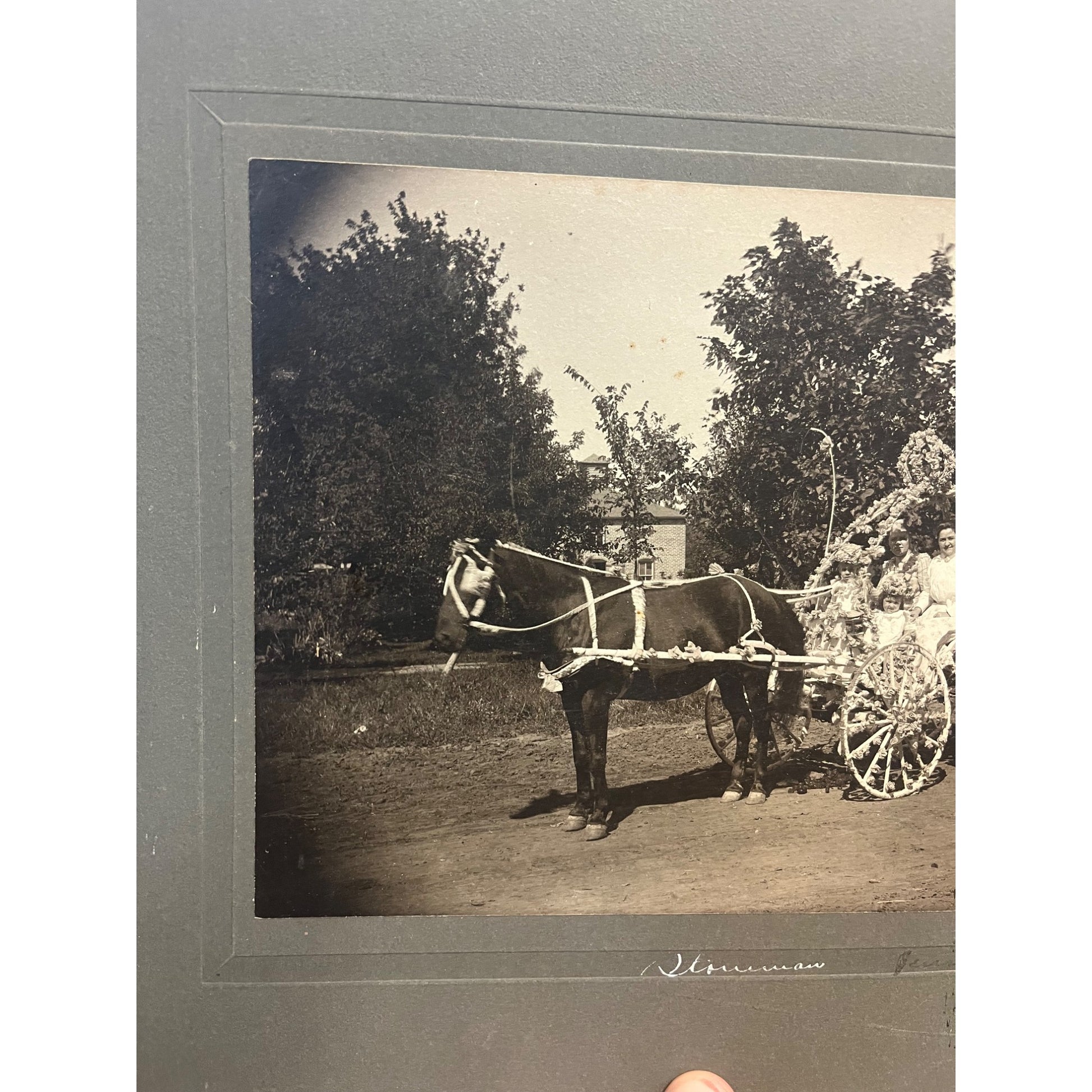 Antique Cabinet Real Photo Fower Dressed Horse Drawn Carriage Wedding Bride