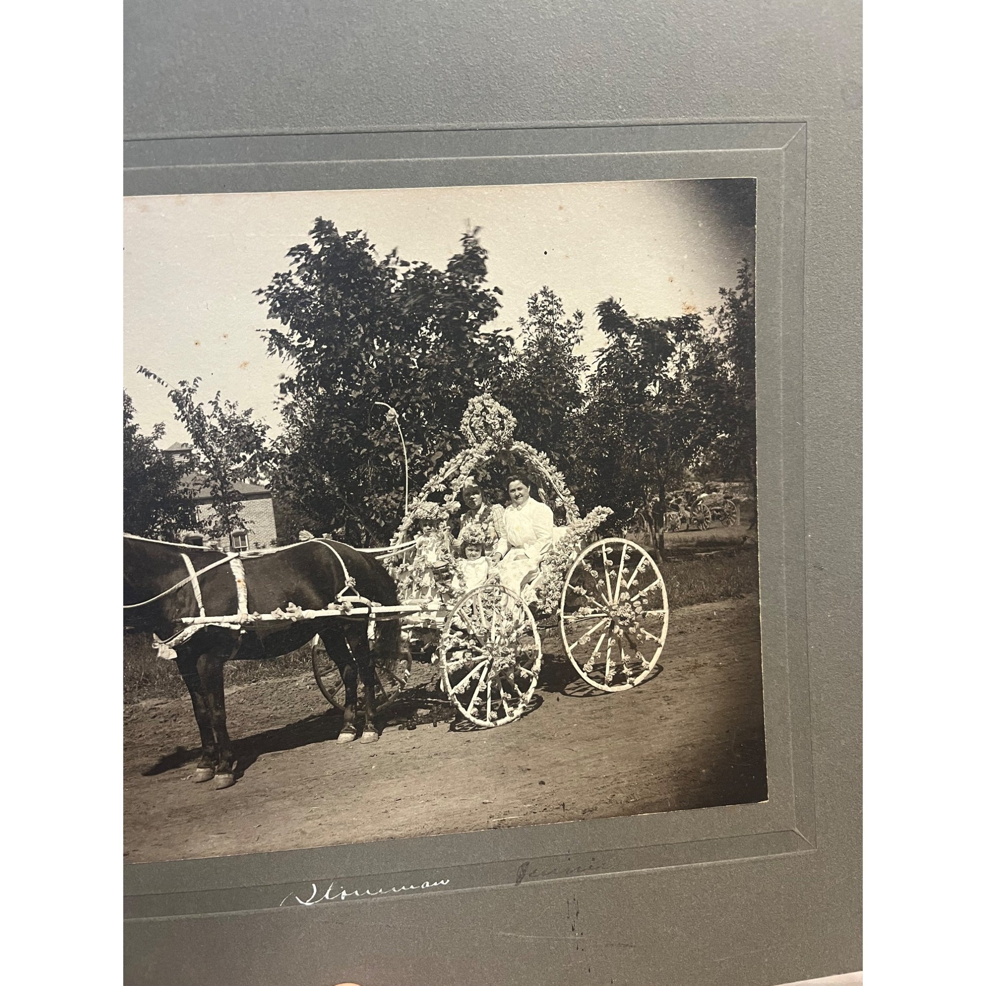 Antique Cabinet Real Photo Fower Dressed Horse Drawn Carriage Wedding Bride