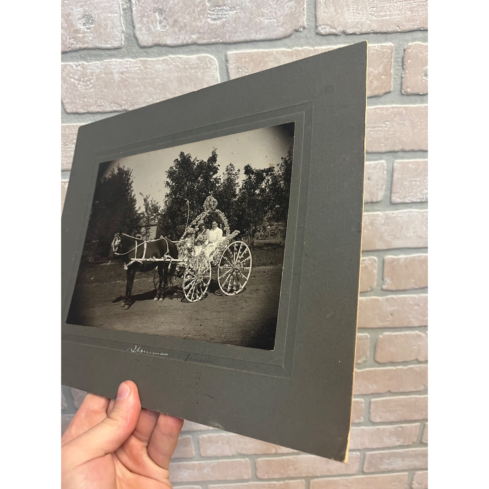 Antique Cabinet Real Photo Fower Dressed Horse Drawn Carriage Wedding Bride