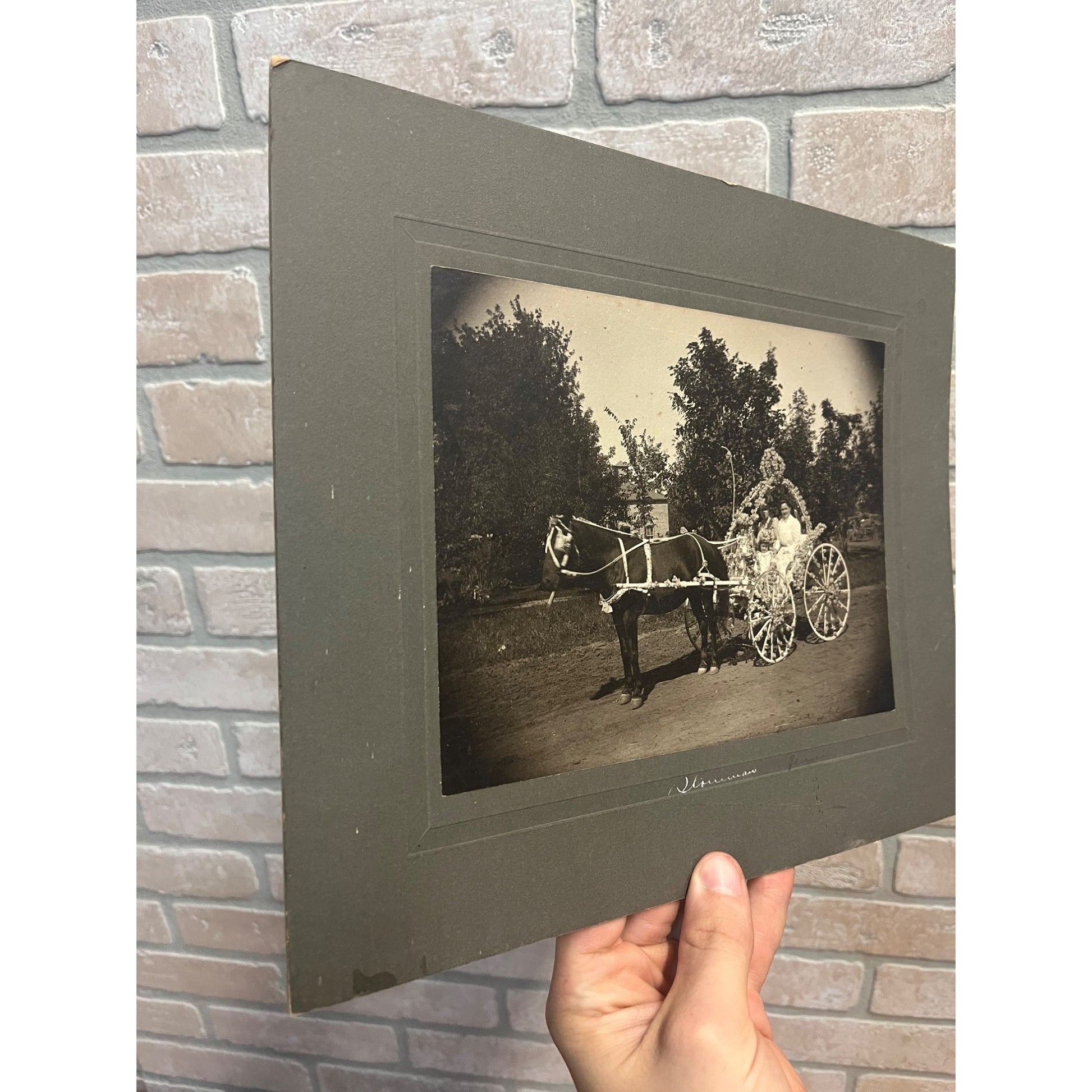 Antique Cabinet Real Photo Fower Dressed Horse Drawn Carriage Wedding Bride