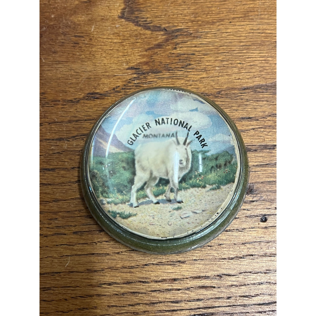 Vintage 1950s Glacier National Park Montana Souvenir Glass Paperweight