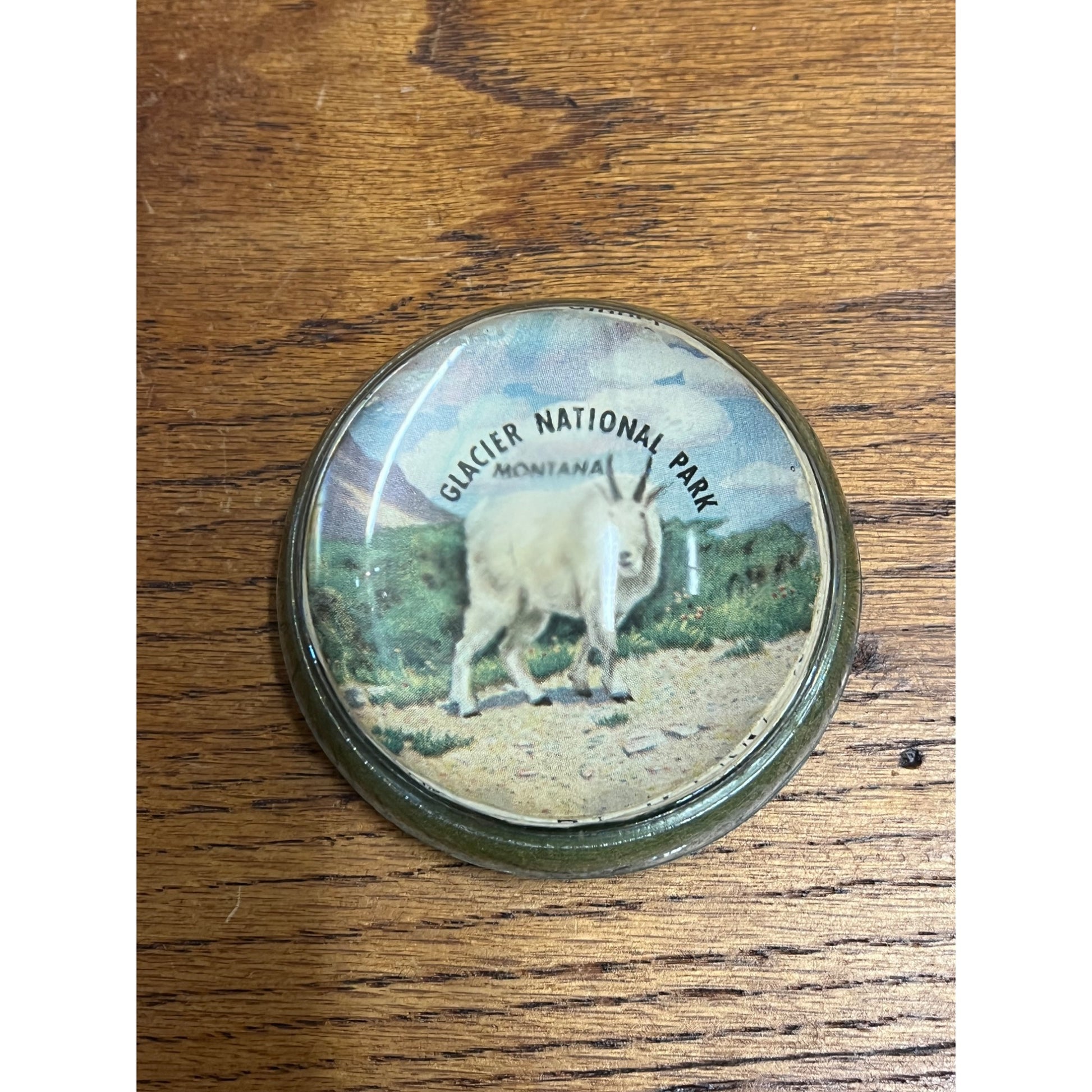 Vintage 1950s Glacier National Park Montana Souvenir Glass Paperweight