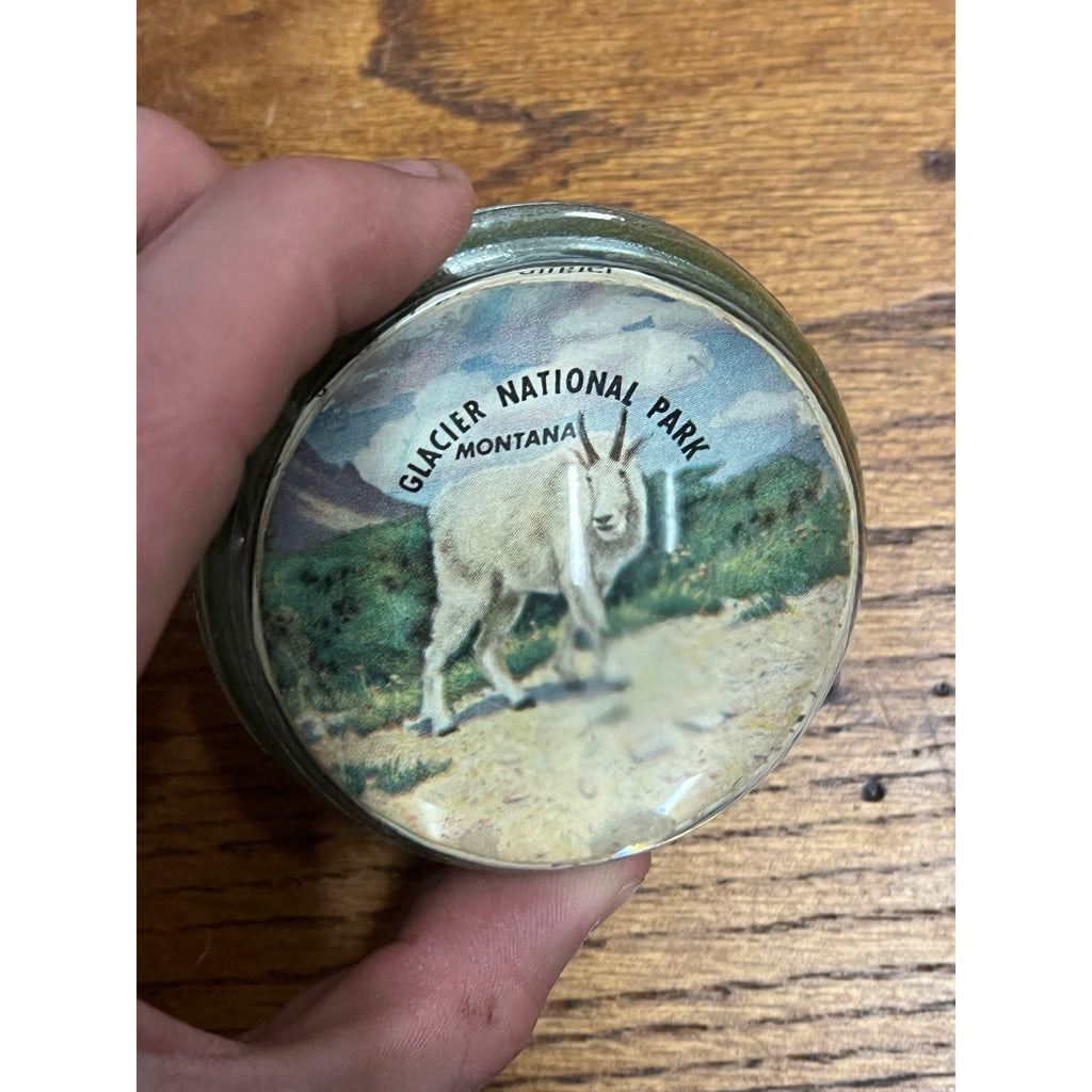 Vintage 1950s Glacier National Park Montana Souvenir Glass Paperweight