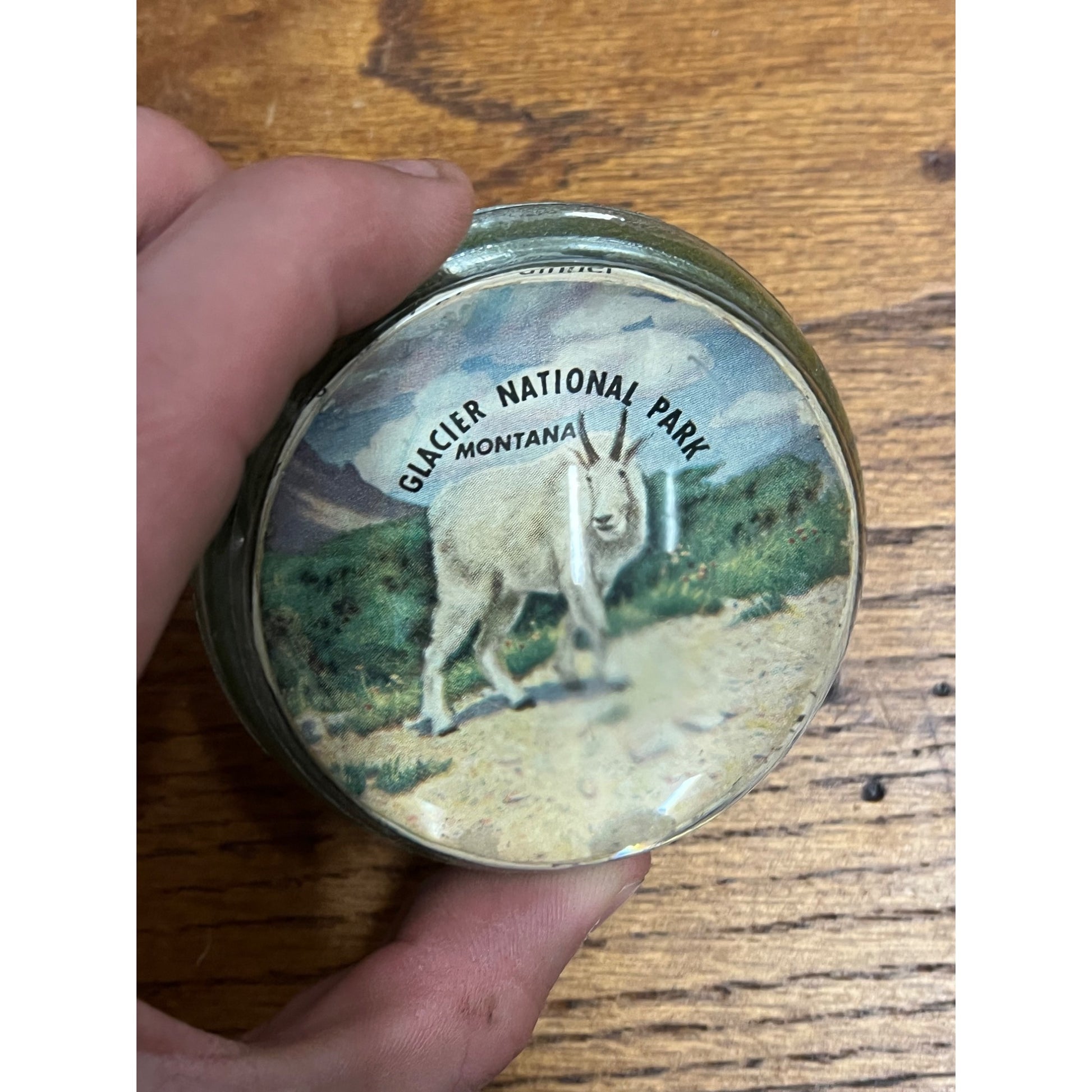 Vintage 1950s Glacier National Park Montana Souvenir Glass Paperweight