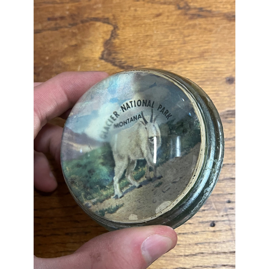 Vintage 1950s Glacier National Park Montana Souvenir Glass Paperweight