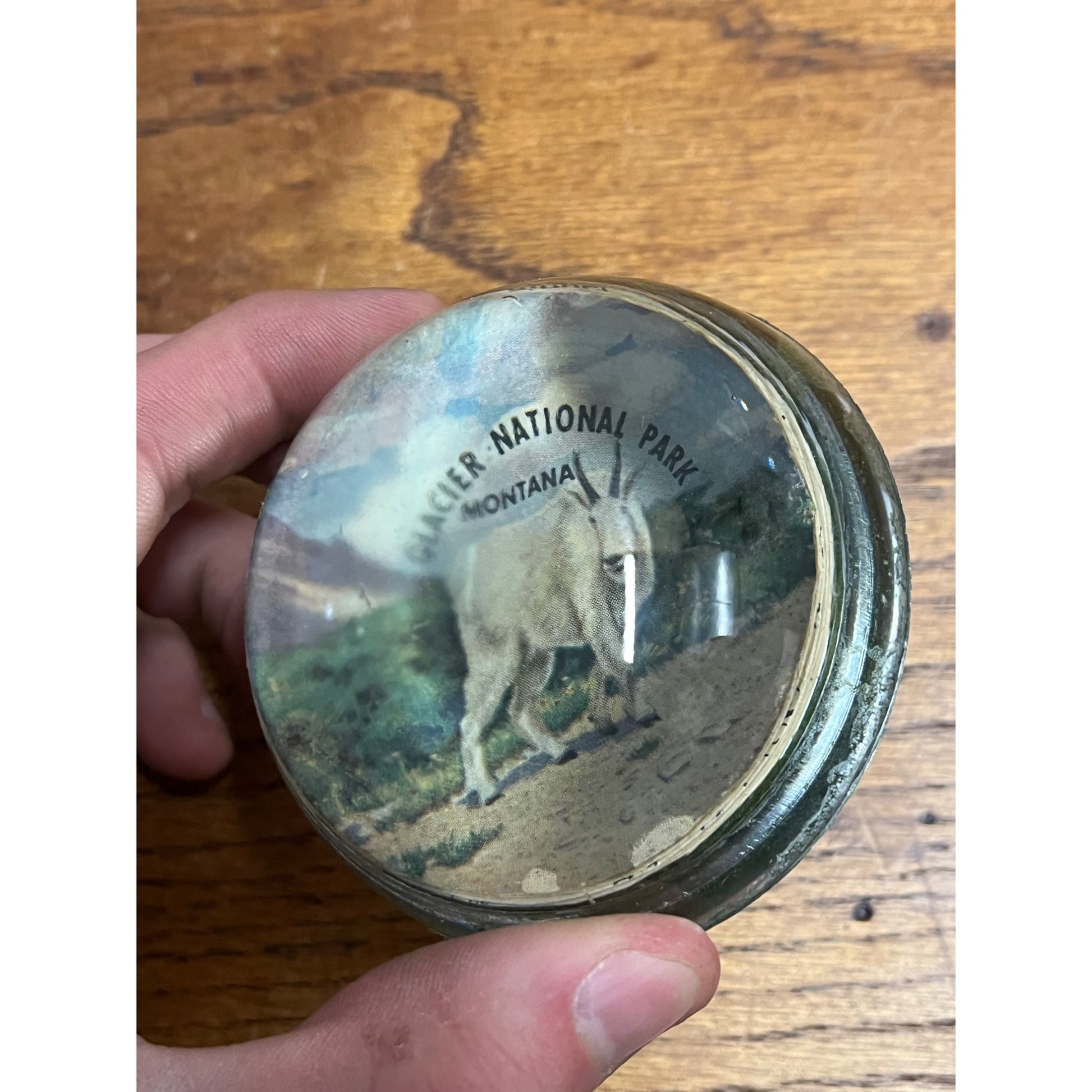 Vintage 1950s Glacier National Park Montana Souvenir Glass Paperweight