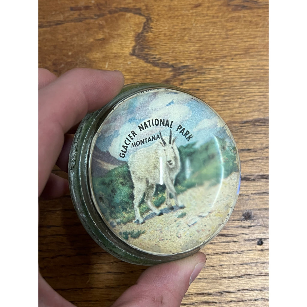 Vintage 1950s Glacier National Park Montana Souvenir Glass Paperweight