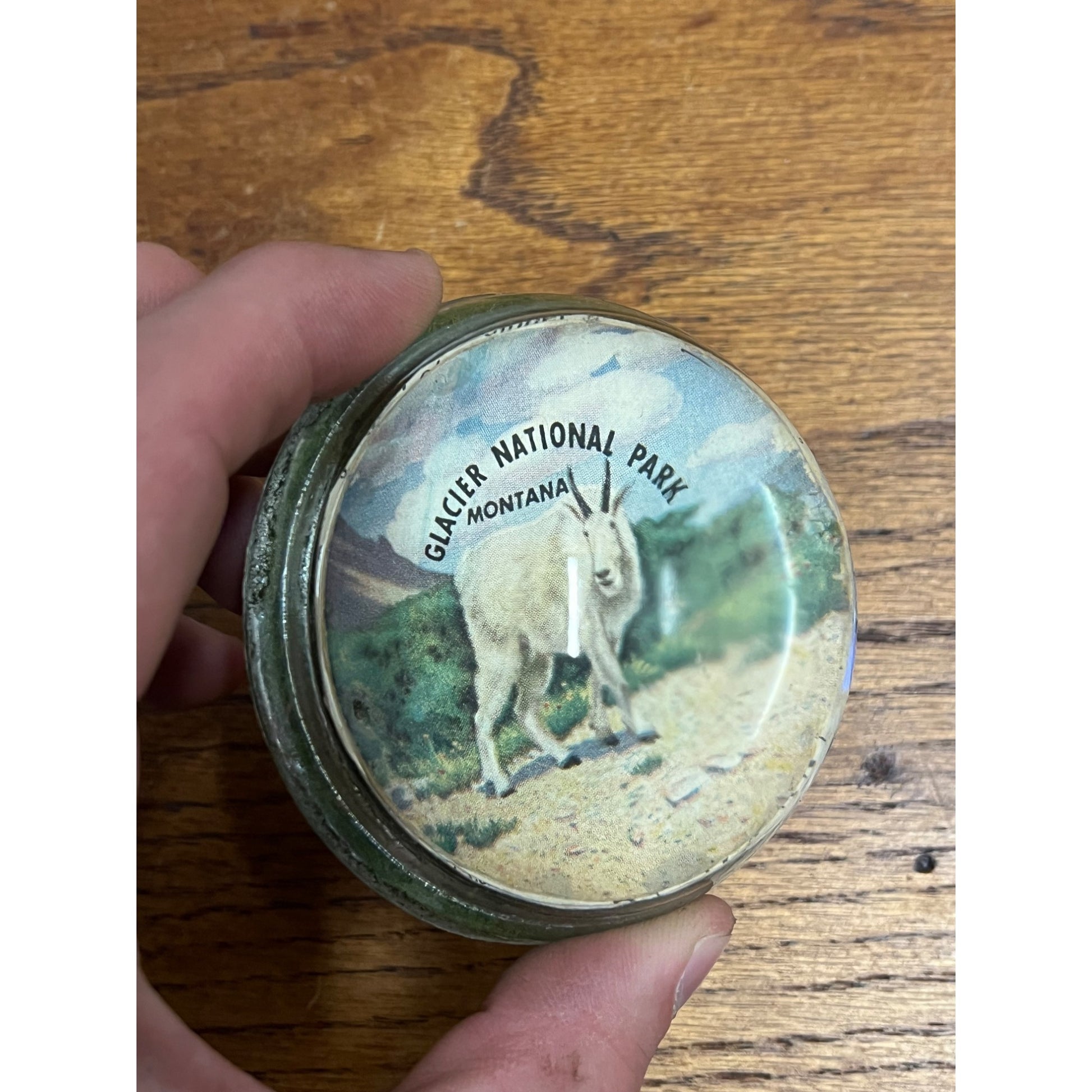 Vintage 1950s Glacier National Park Montana Souvenir Glass Paperweight