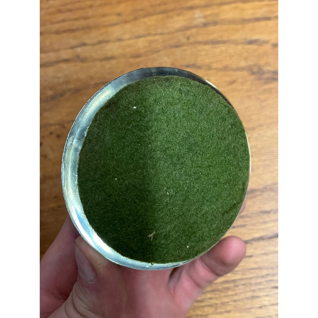 Vintage 1950s Glacier National Park Montana Souvenir Glass Paperweight