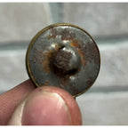 1904 Theodore Roosevelt Campaign Clothing Button Teddy Bear 7/8"